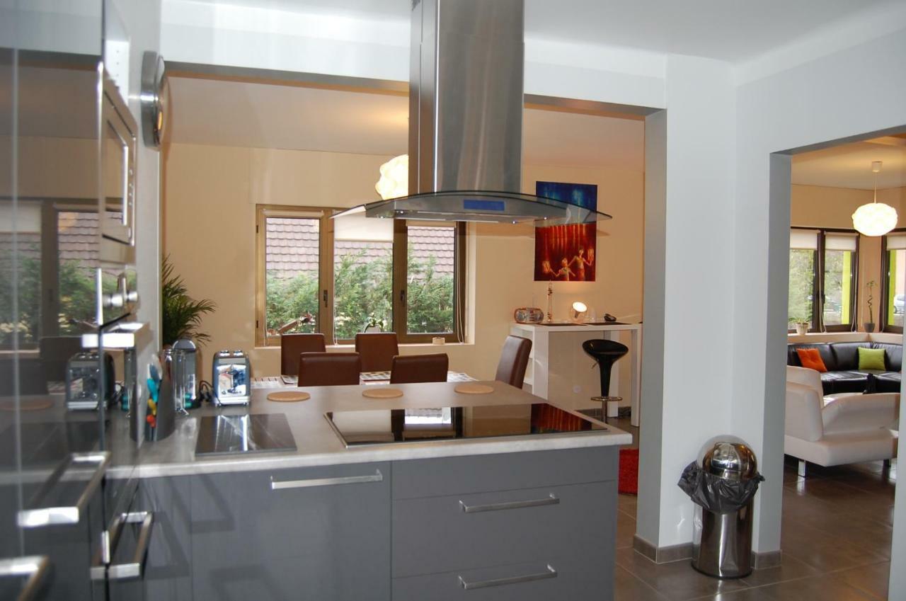 Villa Bonheur Illfurth Alsace 4 Chambres Esterno foto